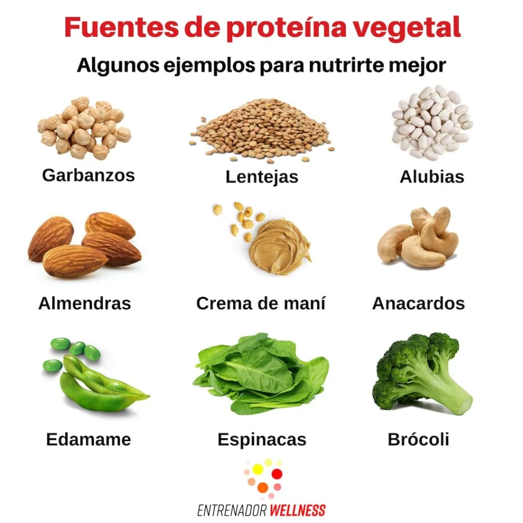 Alimentos sustentables