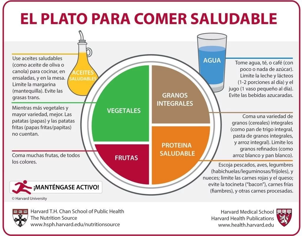 El plato que Harvard recomiendo para vivir saludables
