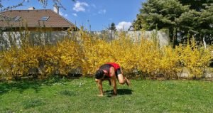 3 maneras de mantener tu movilidad con movimientos animales