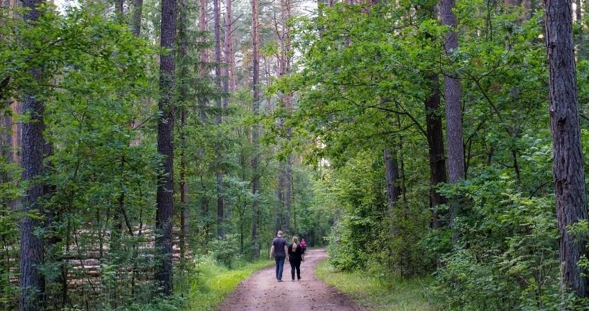 Caminar alrededor de Brno